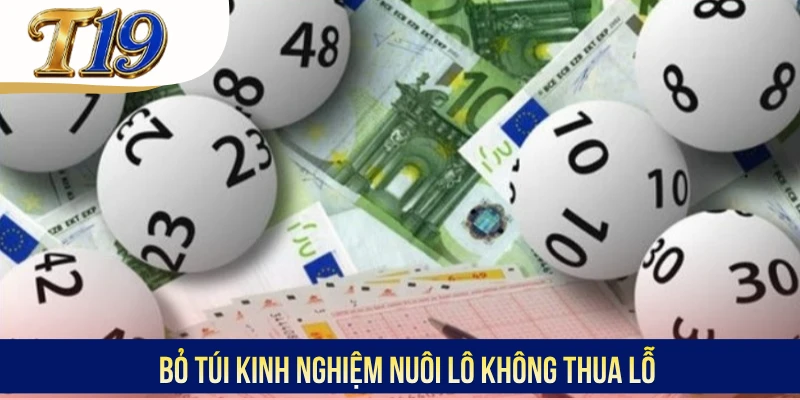 Bỏ túi kinh nghiệm nuôi lô không thua lỗ