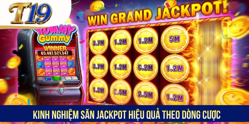Kinh nghiệm săn Jackpot hiệu quả theo dòng cược