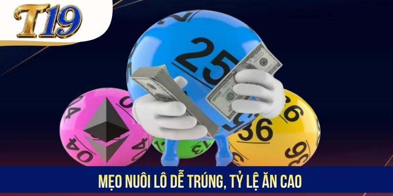 Mẹo nuôi lô dễ trúng, tỷ lệ ăn cao