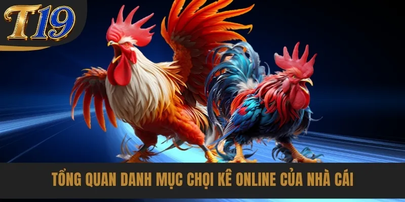 Tổng quan danh mục chọi kê online của nhà cái